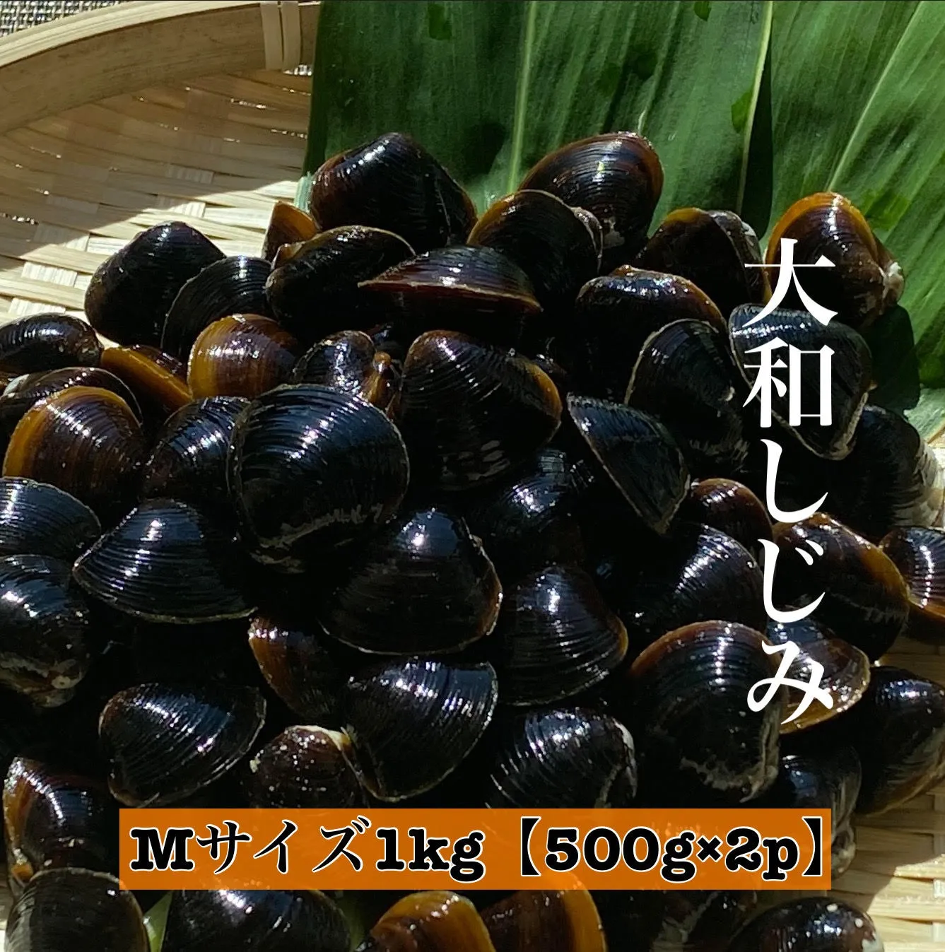 しじみ Mサイズ 1kg (500g×2)