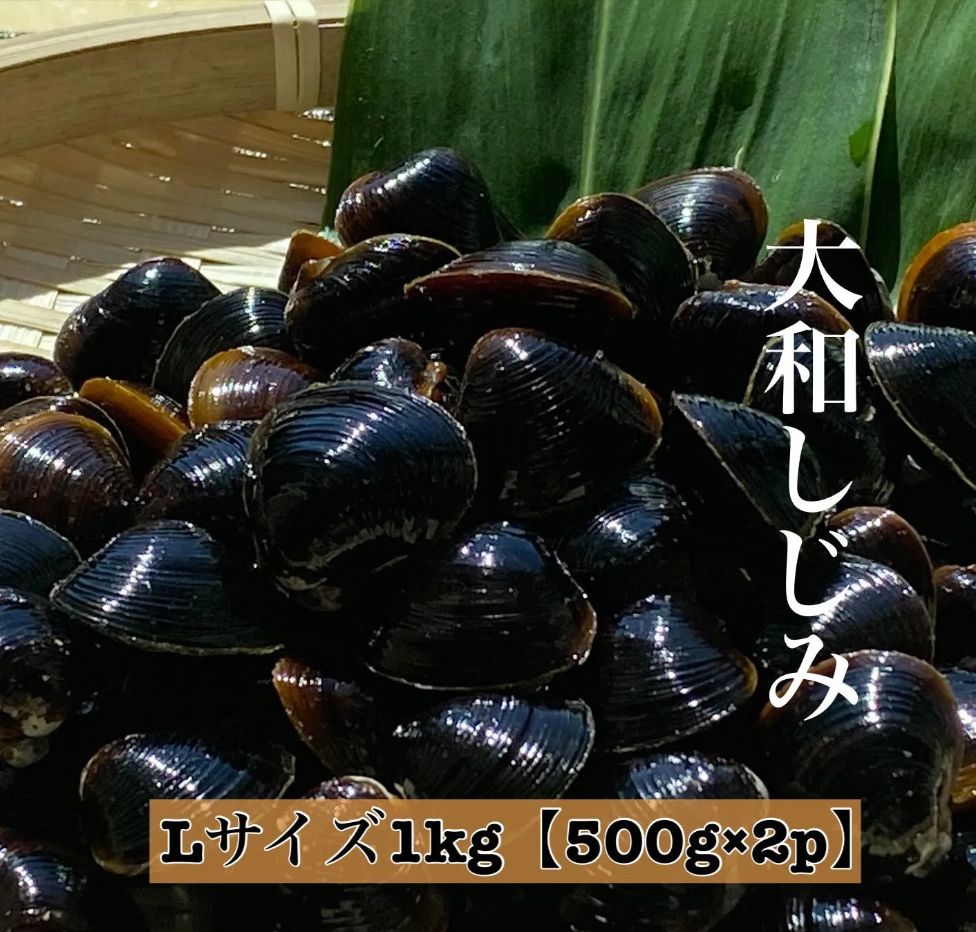 しじみ Lサイズ 1kg (500g×2)