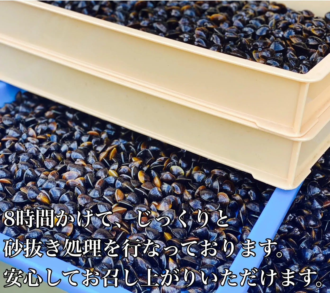 しじみ Lサイズ 2kg (500g×4)